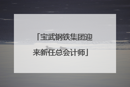 宝武钢铁集团迎来新任总会计师